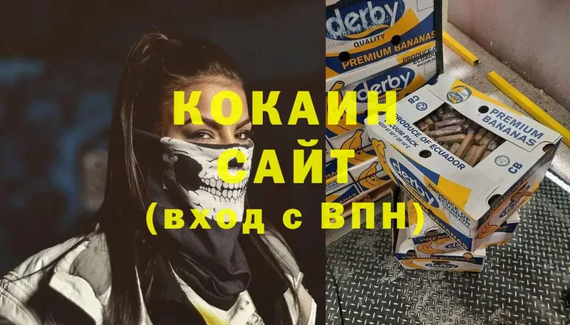 Cocaine FishScale  купить наркотики цена  Нерехта 